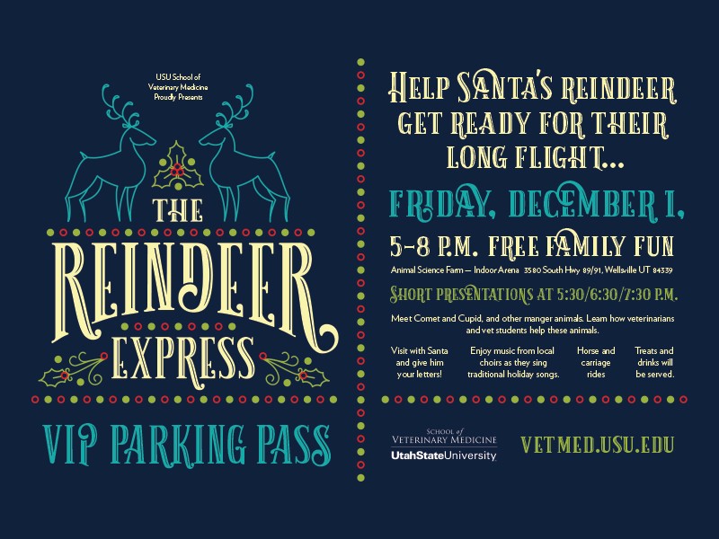 Reindeer Express poster